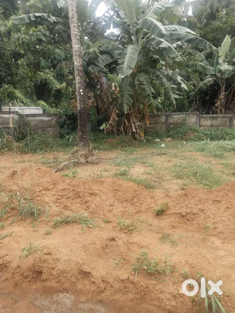 Thrissur velappaya china Bazar 5,8 cent plot for sale