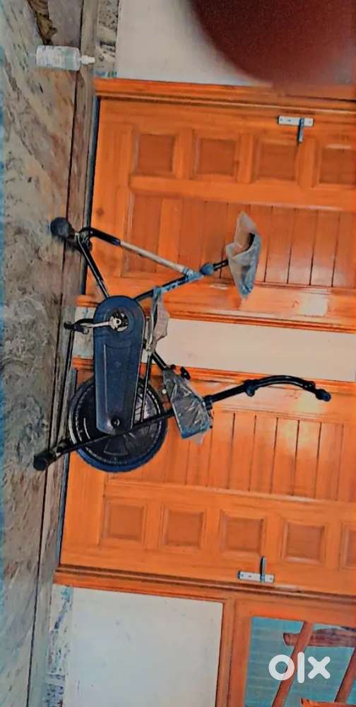 Exercise cycle