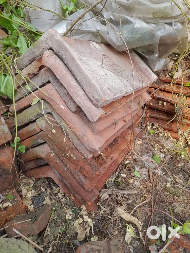 Pora matir Konar tali