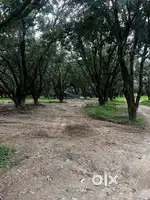 Land for sale in vikashnagar