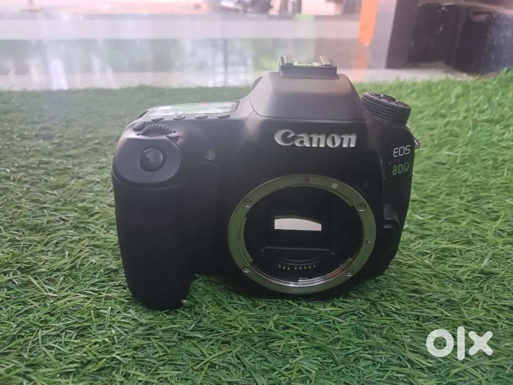 Canon 80 d