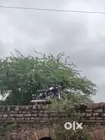 Classic 350 bullet achi condition hai