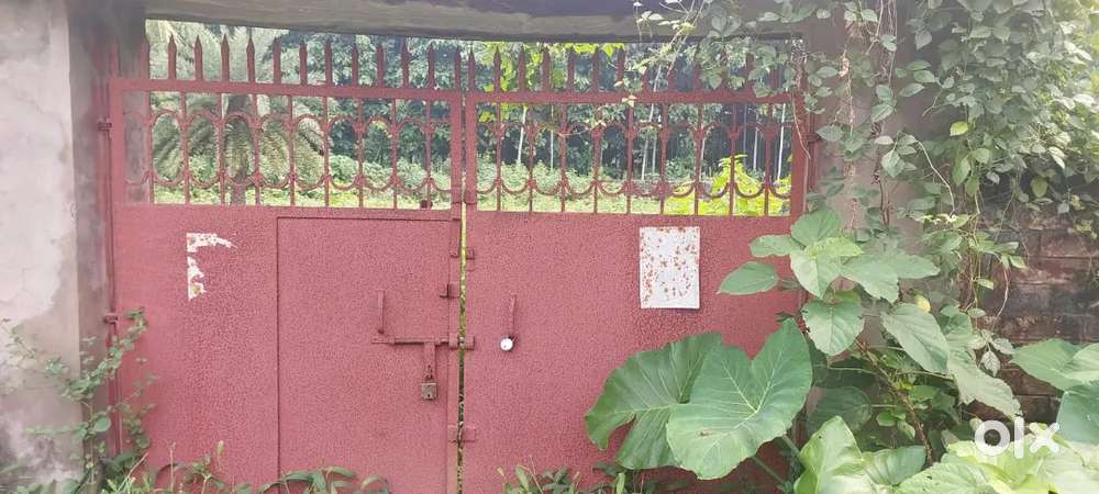 Contact Shashi Sikder