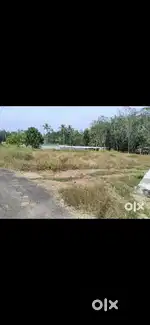Plain land for sale in meeyapadavu