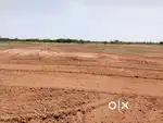 Low budget Farm in Madurai dt