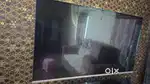 Thompson othpro 43inch  TV