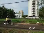 70(+6.5) cents  residential  plot for sale at vennala.