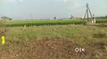 Edupugallu Vuda approved Plots for sale
