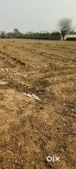Plot size 830 yards GPA plot in DLF farm Chattarpur