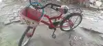 Kids cycle.