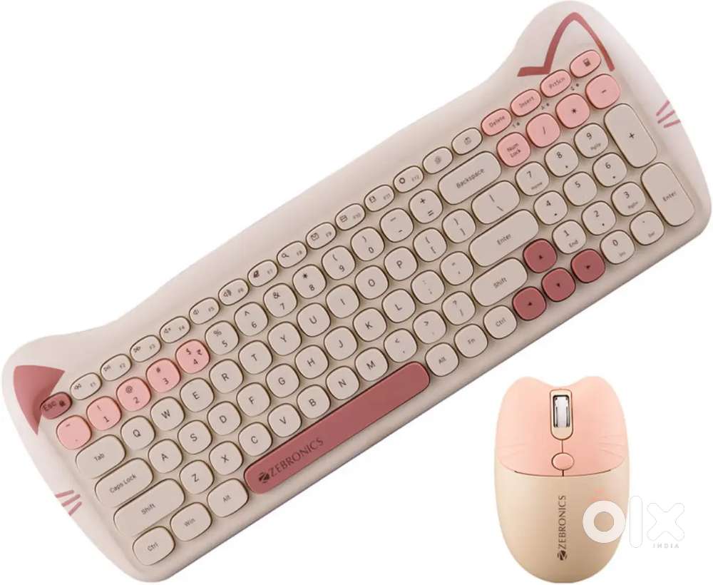 Zebronics keyboard and mouse set