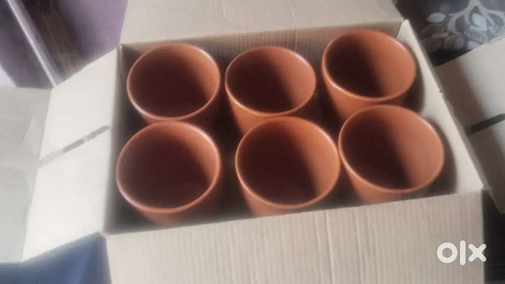 6 cups for sales pinkan cups