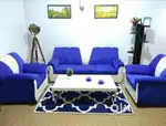 Antique fantastic sofa set
