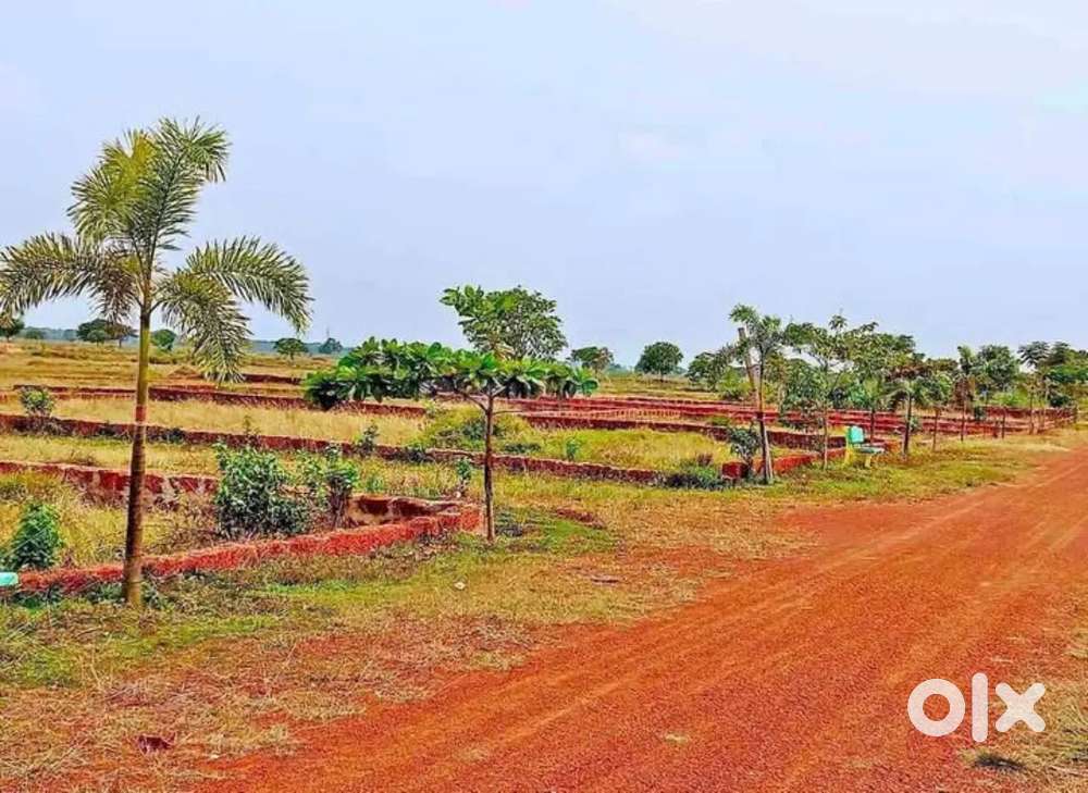 Flot sale Bhubaneswar aims hospital back site