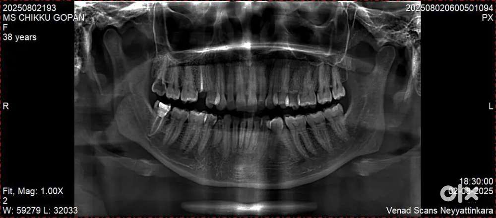 Dental labworks ,Cleaning staff,Billing staff,Nursing assistant