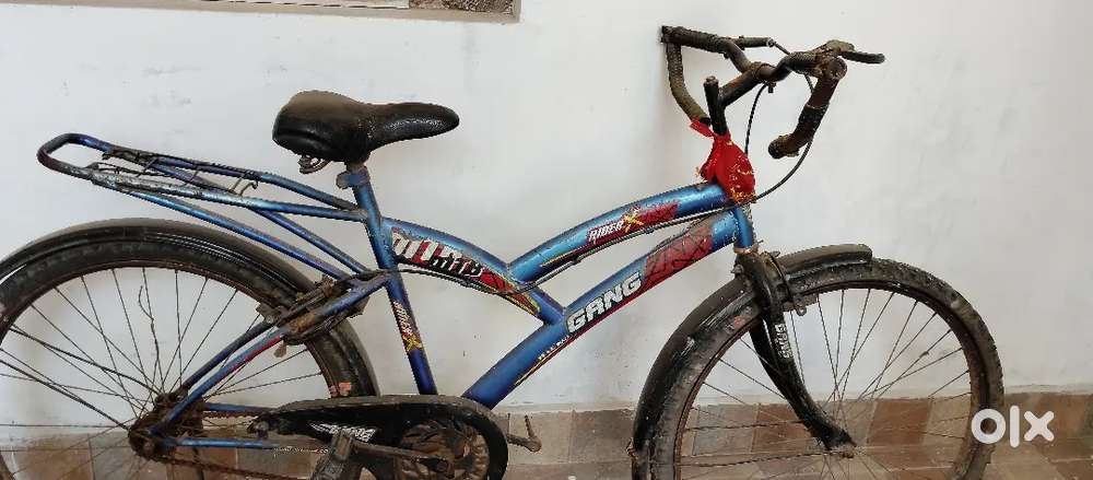 Gang Cycle 2year old