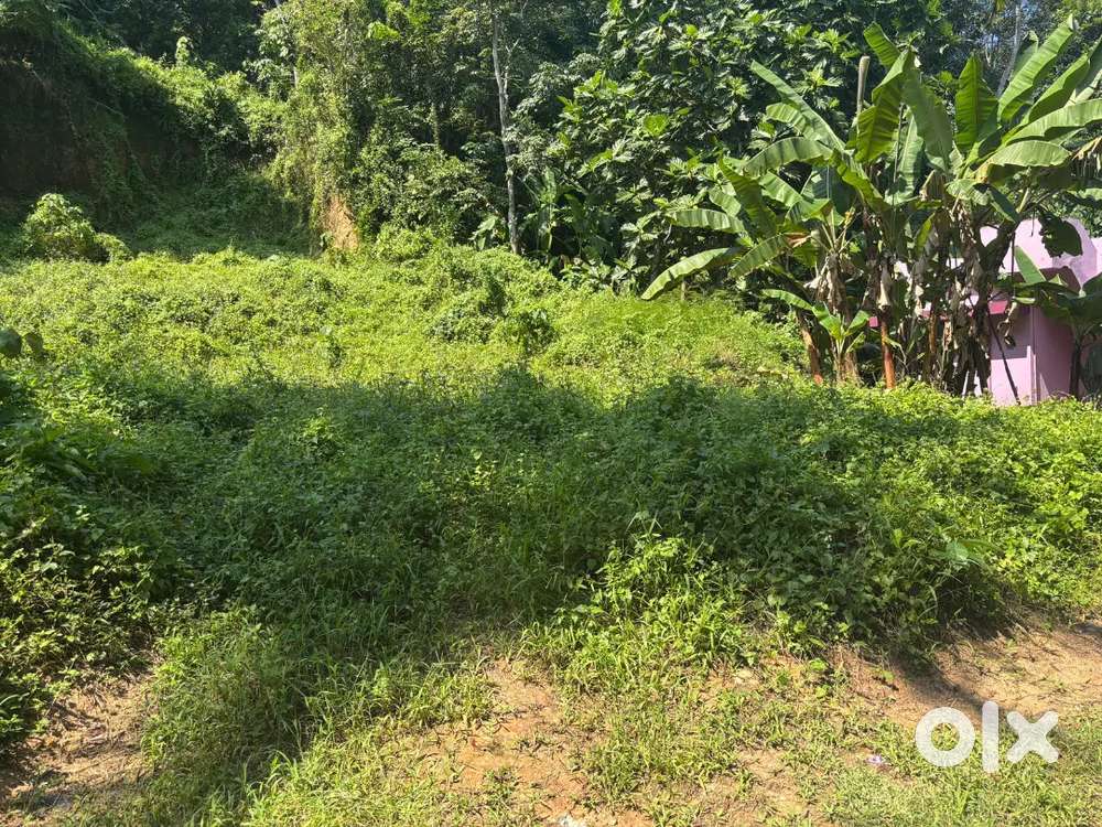 Near vilapilsala police station 200 mtr away