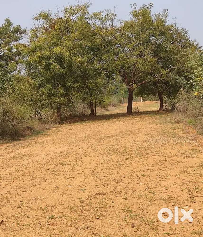 Resale Plot For Sale