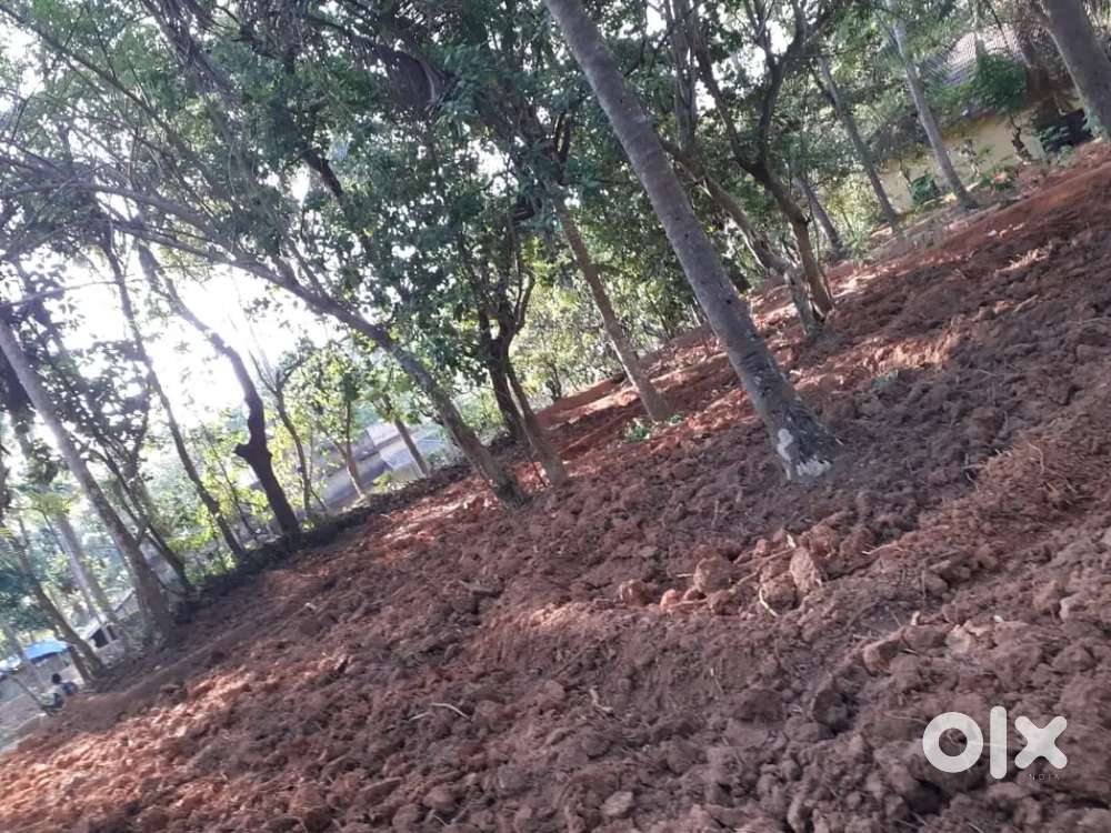 91 cent plot for sale