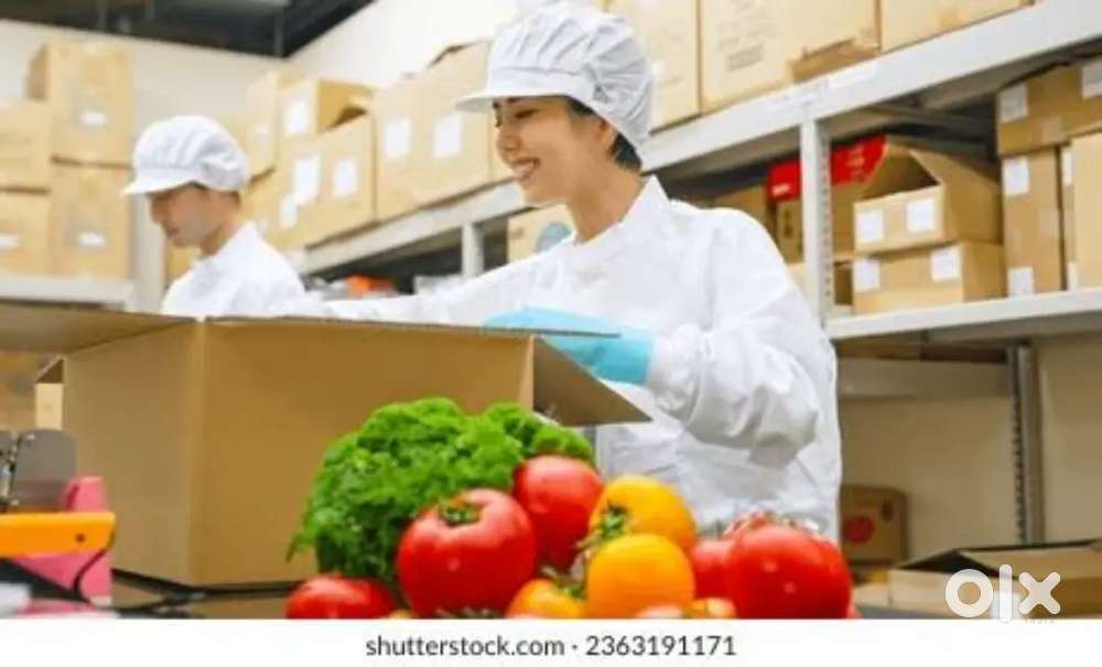 Night Job veggies packing
