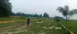 Lucknow me plant sabsa sasta