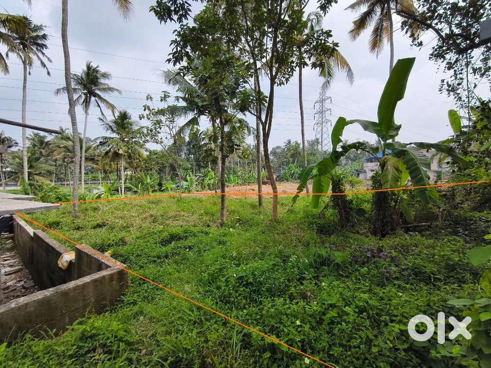 5 Cent Residential Plot – ₹7 Lakhs/Cent, Negotiable