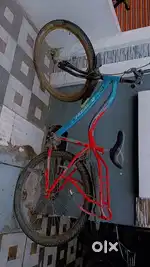 Cycle for boys and girls