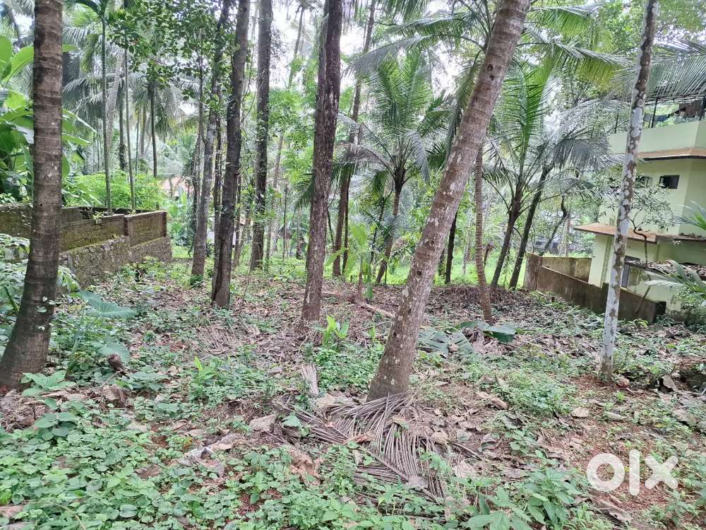 6 cent plot near kirtads bus stop. Two wheeler site