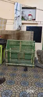 Birds cage money urgent