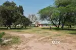 Premium On-Road Plot for Sale in Muzaffarpur – 4 Dismil | ₹18 Lakhs