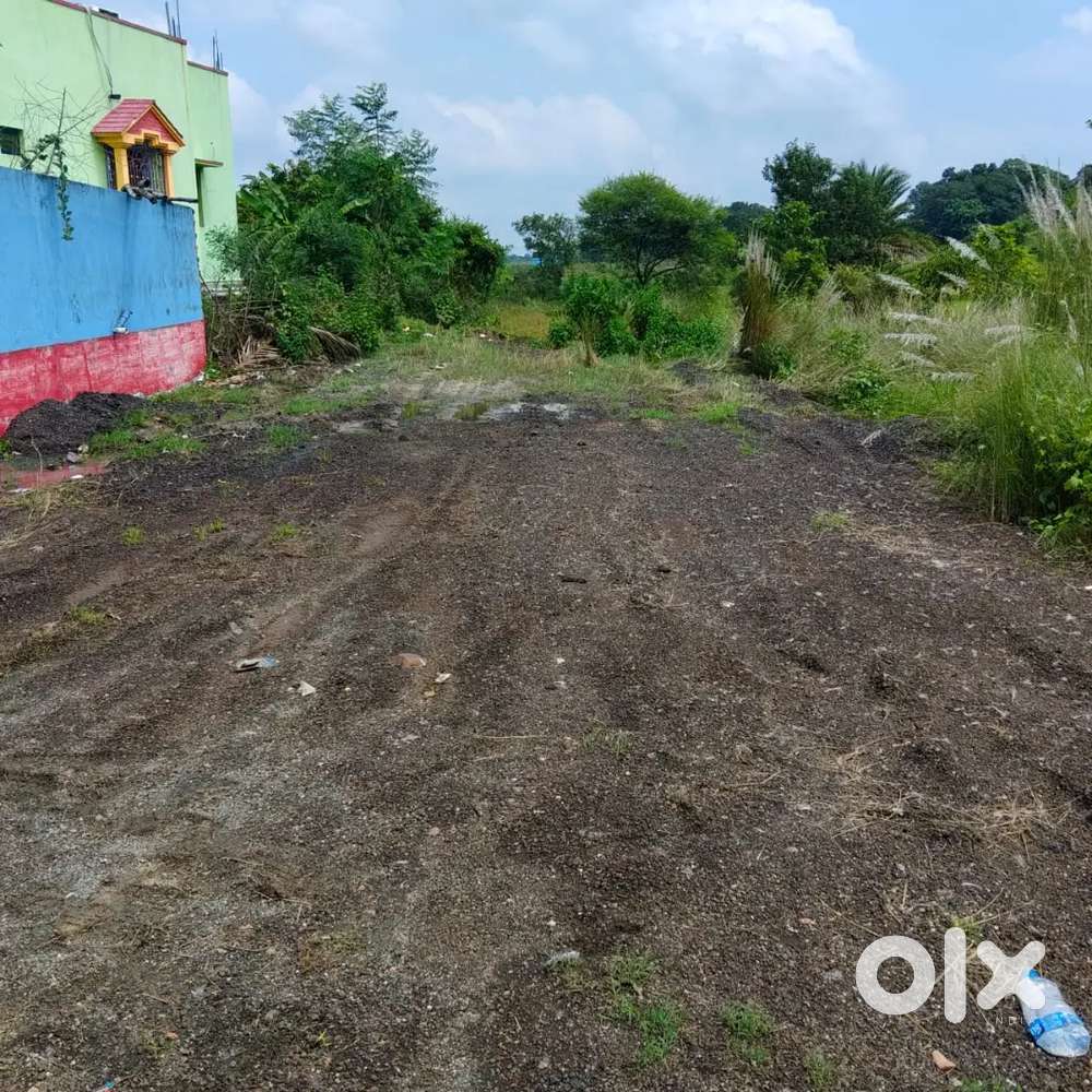 Land for sell in Hata main chowk potka 1 ( 8 and 1/2 katta)