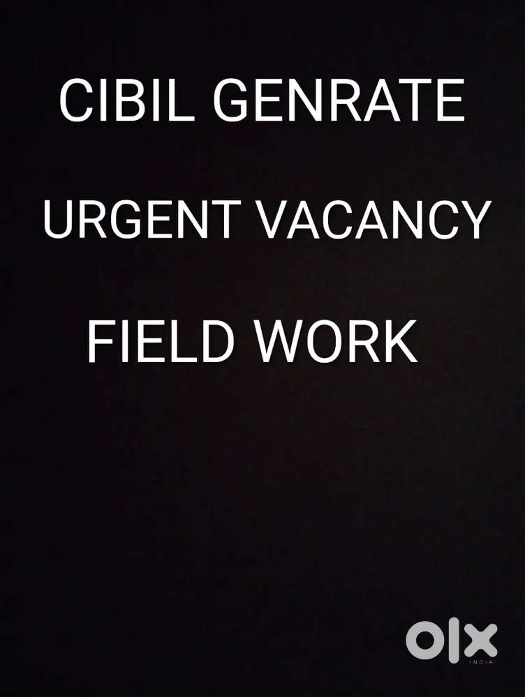 Cibil genrate work