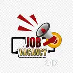 Freshers and Experience wanted