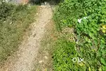 Selling Land