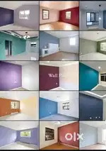 AP COLOUR CONTRACTOR