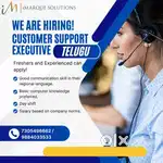 Customer Support Executive