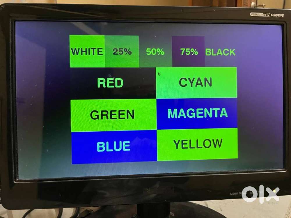 Mercury 40.60 cm (16 in) LED Monitor (1660TWG)