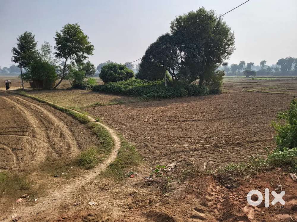 40 kattha plot for sale in hussainpur, biharsharif