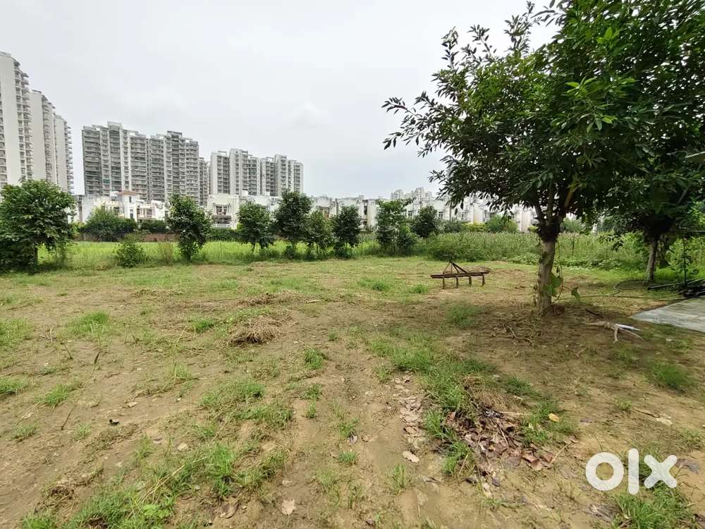Land/Plot, Warehouse, godown, House Godam, for rent in Sec-85, Gurgaon