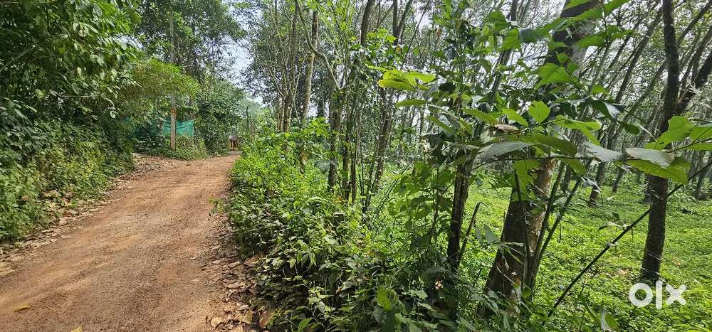 House plot for sale nearest Moscow Thegana