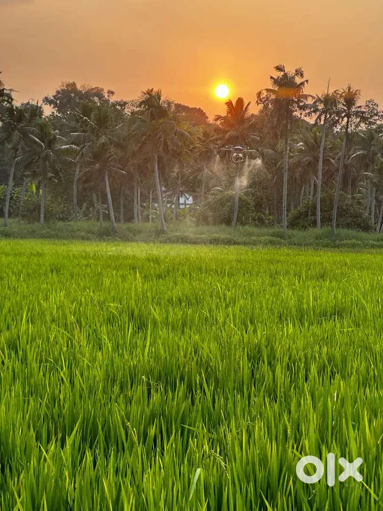 Agriculture Drone spraying Business (work from home)