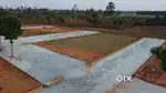 Government Project