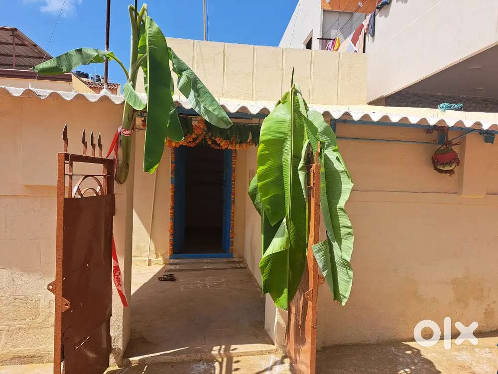 1bhk individual house available