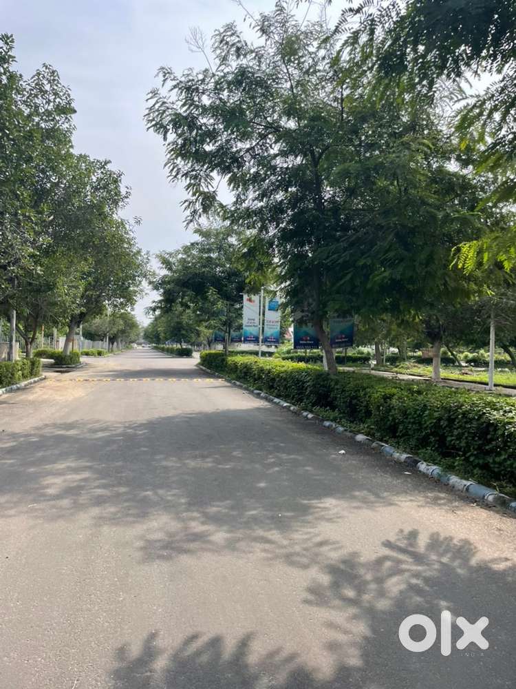 Vatika infotech city