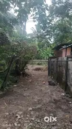 Land for sale at Manayilkulangara