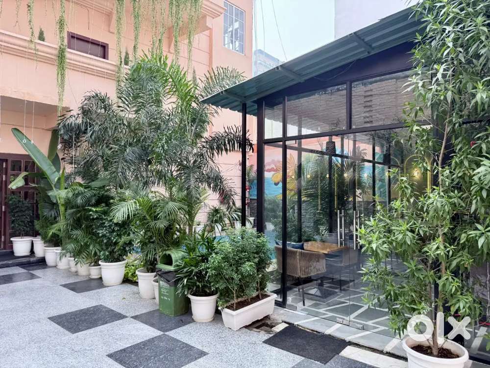 Captain and service for restaurant