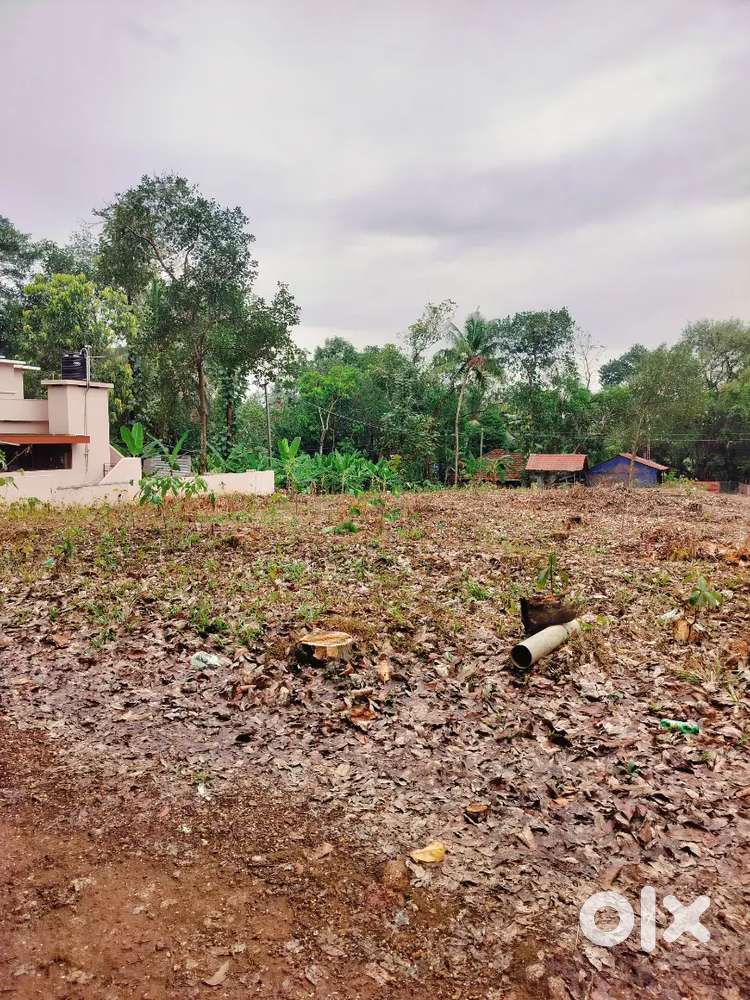 5, 10 cent പ്ലോട്ട് തിരിച്ച് വസ്തു വില്പനക്ക് കരവാരം തോട്ട ക്കയാട്