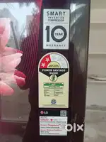 Lg fridge 2 years old