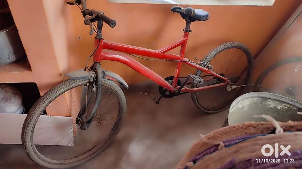 Red cycle 2 years old