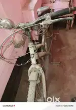 2 sal old cycle 22 inch